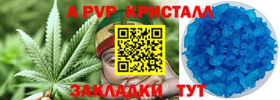 стаф Будённовск