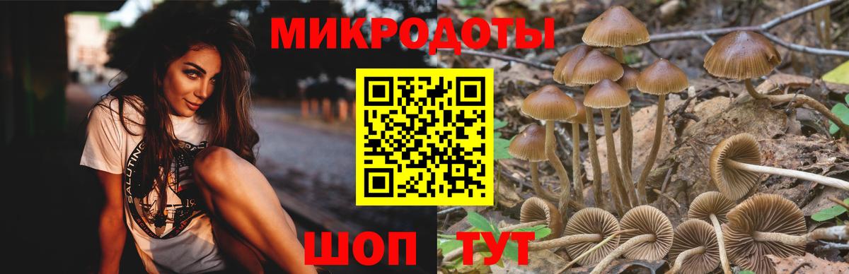 Псилоцибиновые грибы Magic Shrooms Астрахань