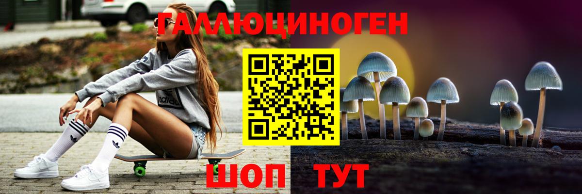 Астрахань  как найти закладки  Вход с VPN  Галлюциногенные грибы Psilocybe 